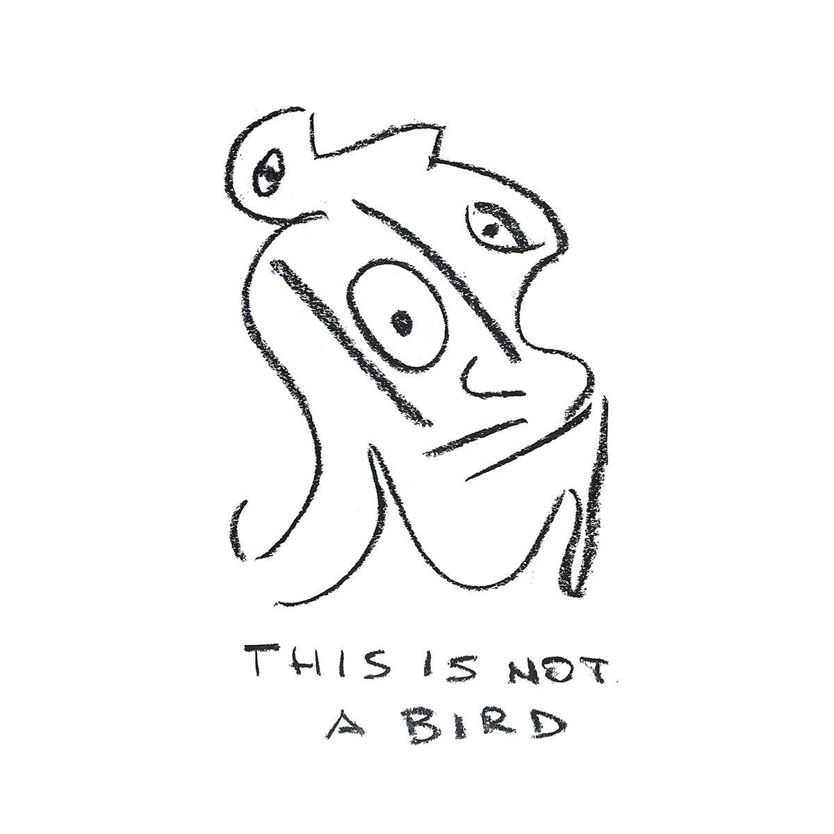 This is not a bird