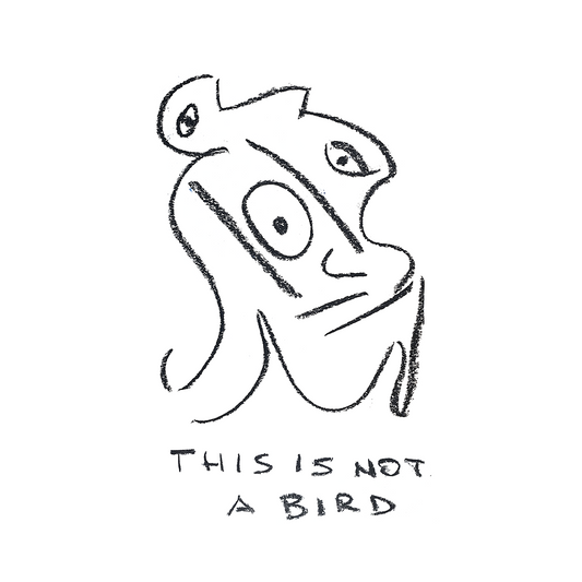 This is not a bird