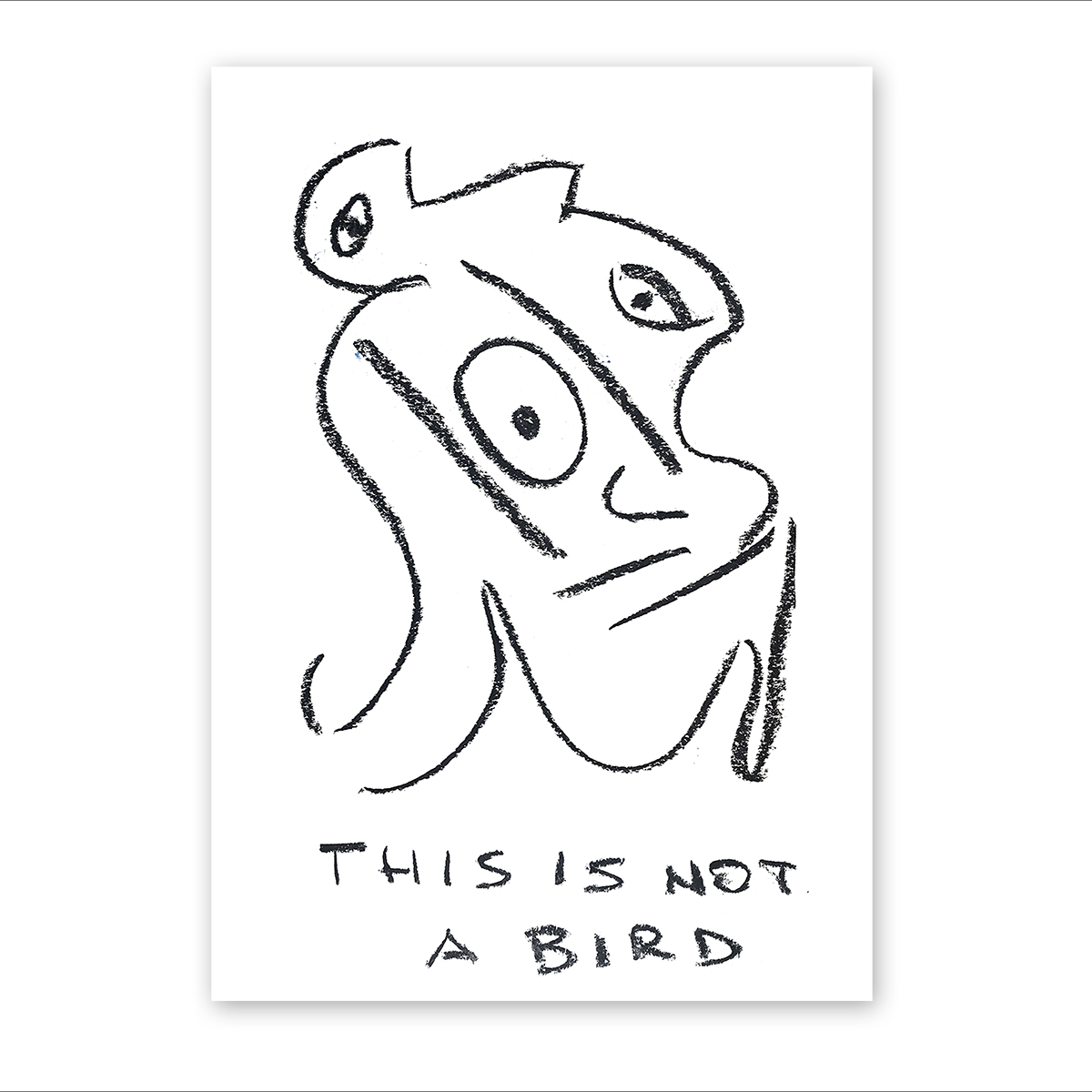 This is not a bird